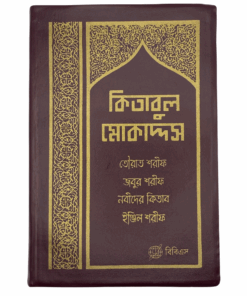 Bengali Bible - Bangla Common Language Translation - Vinyl (Maroon)