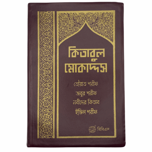 Bengali Bible - Bangla Common Language Translation - Vinyl (Maroon)