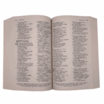 Spanish Bible - Large Print (Paperback)