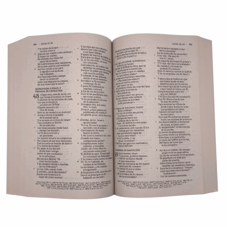 Spanish Bible - Large Print (Paperback)