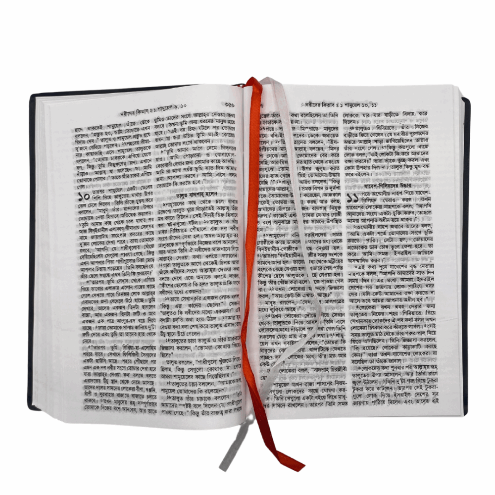 Bengali Bible - Bangla Common Language Translation - Vinyl (Maroon) - Image 2