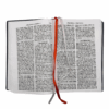 Bengali Bible - Bangla Common Language Translation - Vinyl (Maroon)