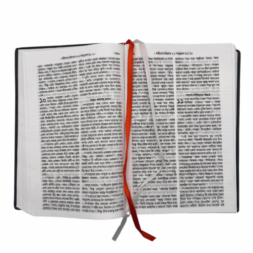 Bengali Bible - Bangla Common Language Translation - Vinyl (Maroon)