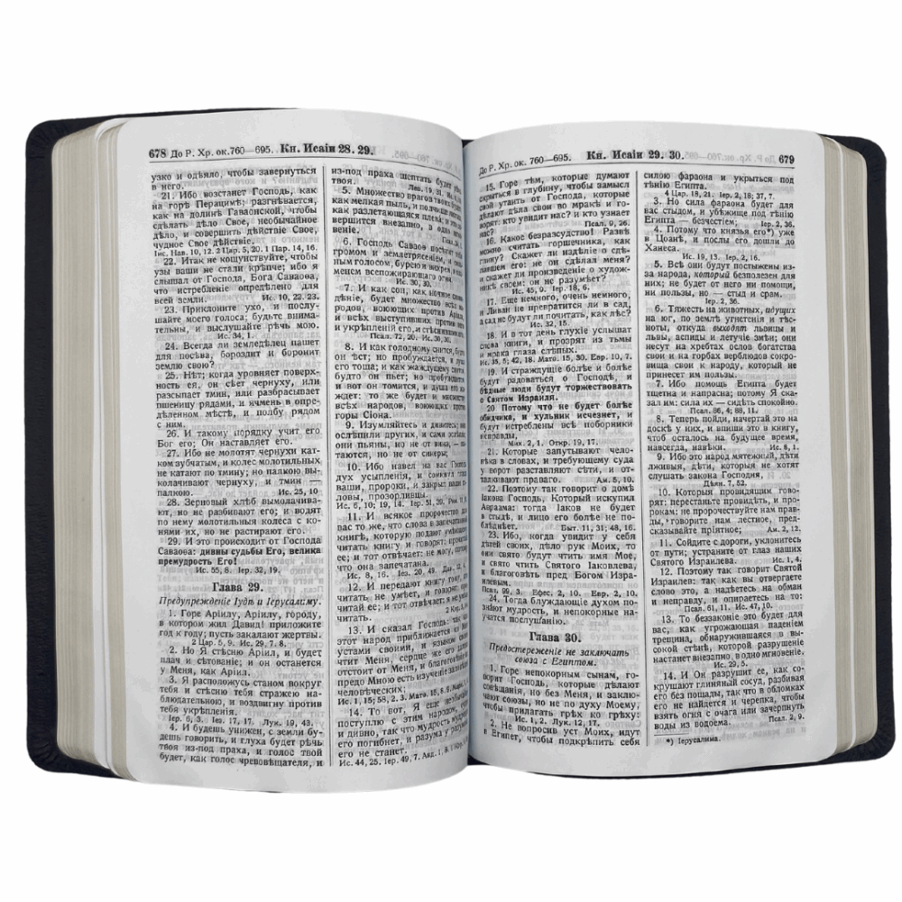 Goetze Russian Study Bible - Genuine Leather - Image 3
