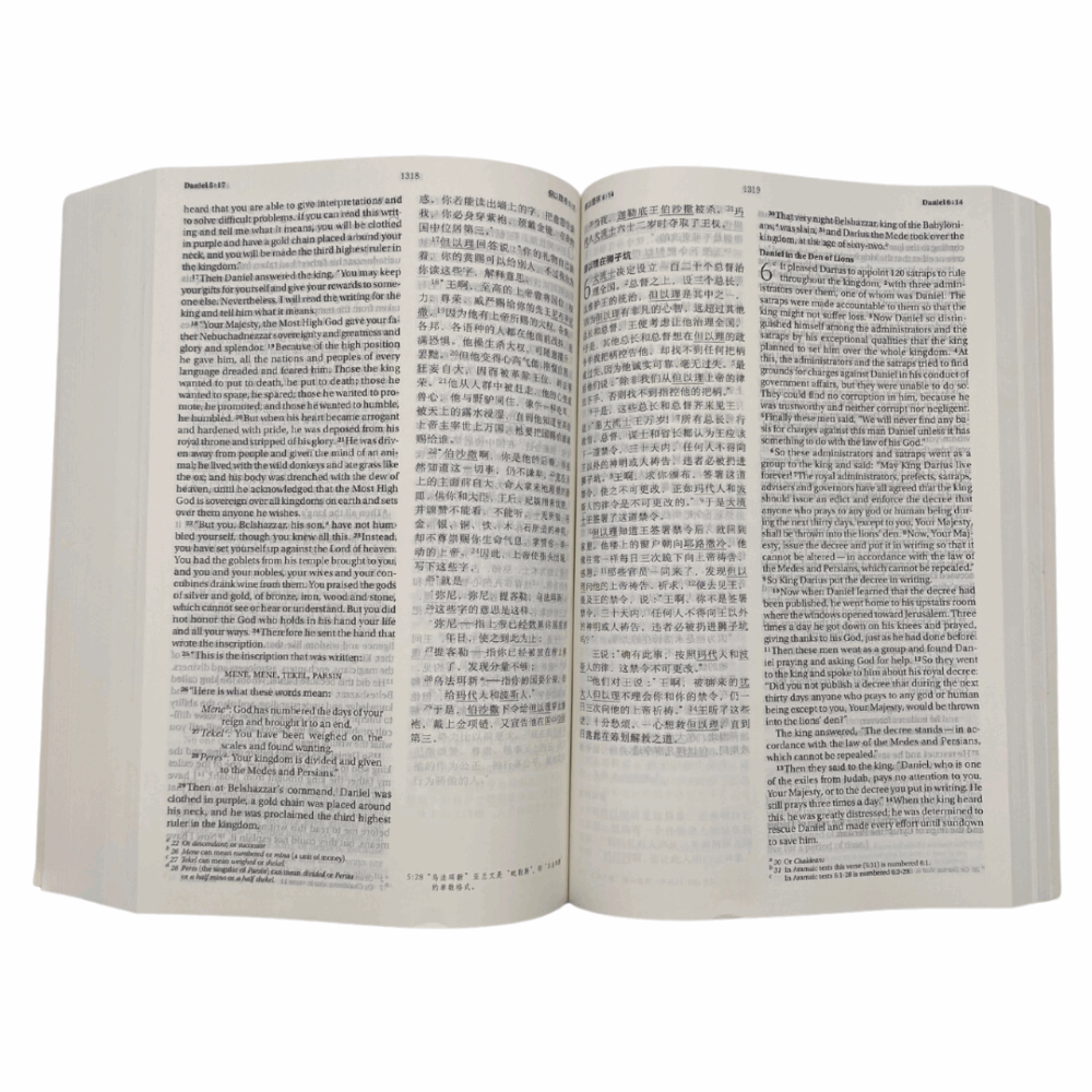 Chinese / English Bible (CCB Simplified Script/NIV) Paperback - تصویر 2