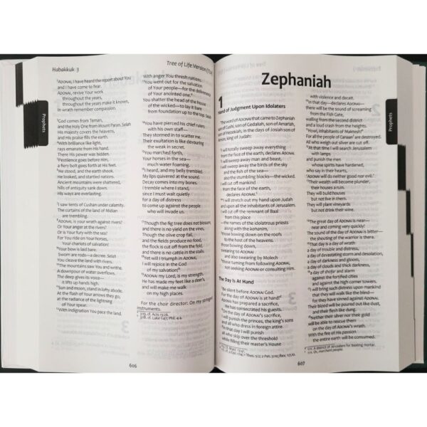 interior of the tree of life hardcover english bible for sale 2