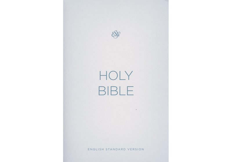 English Holy Bible (ESV) Shepherds Books